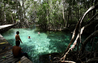 Celestun Lagoon