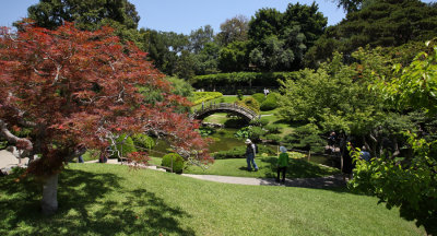 Japanese gardenAweb.jpg