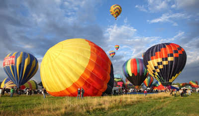 Balloon14 5D web.jpg