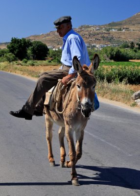 Naxos donkey email.jpg