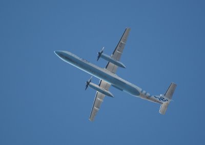 IMG_9863.jpg