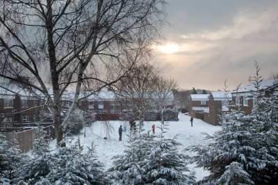 snow020209