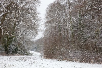 IMG_3050.jpg