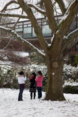snow020209