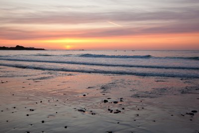 IMG_4648.jpg