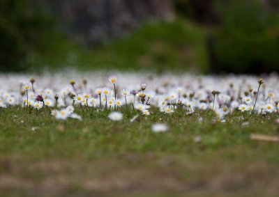 IMG_4819-Edit.jpg