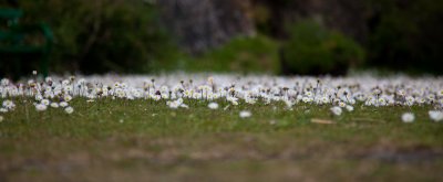 IMG_4819.jpg