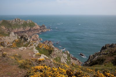 IMG_4931.jpg