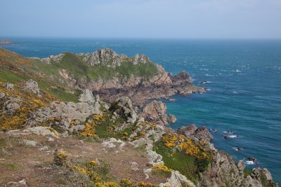 IMG_4934.jpg
