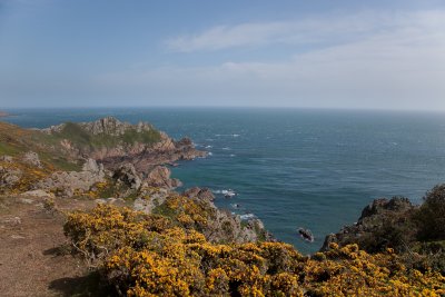 IMG_4943.jpg