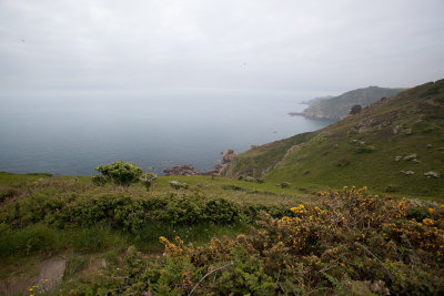 IMG_5057.jpg