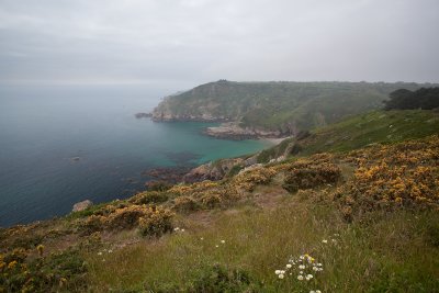 IMG_5066.jpg