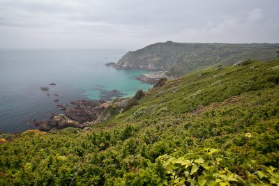 IMG_5135.jpg
