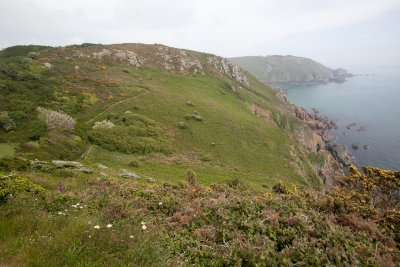 IMG_5146.jpg