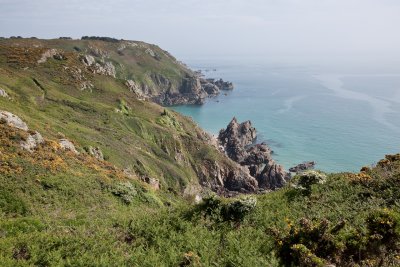 IMG_5205.jpg