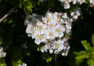 IMG_5214.jpg
