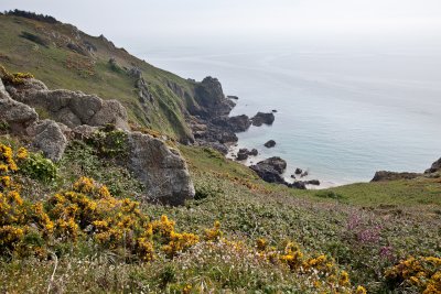 IMG_5228.jpg