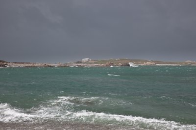 IMG_5344.jpg