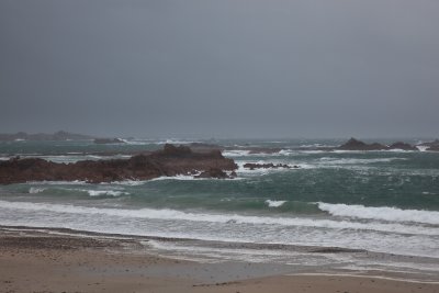 IMG_5356.jpg