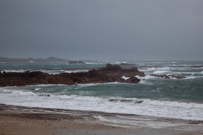 IMG_5363.jpg