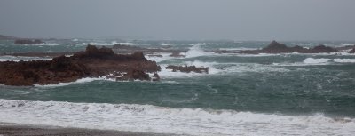 IMG_5366.jpg