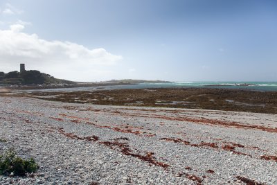 IMG_5384.jpg