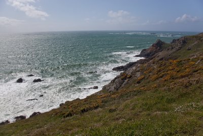 IMG_5406.jpg