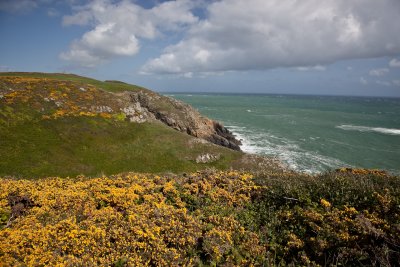 IMG_5467.jpg