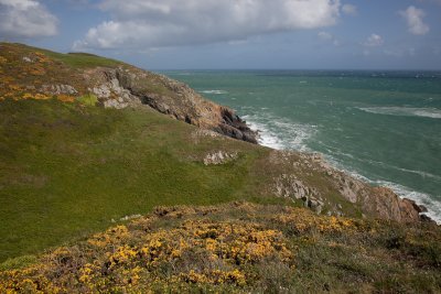 IMG_5477.jpg