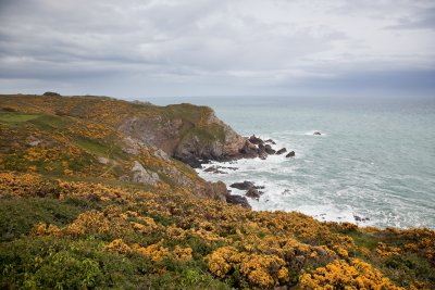 IMG_5759.jpg