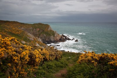 IMG_5770.jpg