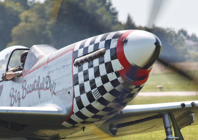Shoreham Airshow 2009
