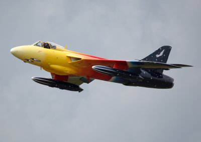 IMG_7939.jpg