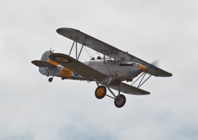 IMG_8045.jpg