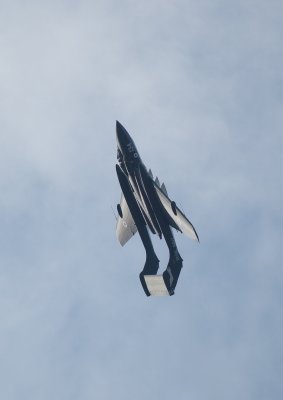 IMG_8276.jpg