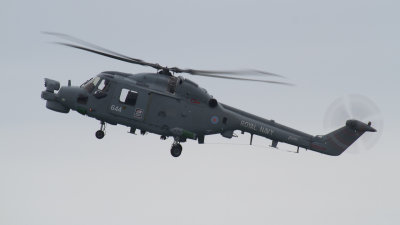 IMG_9731.jpg