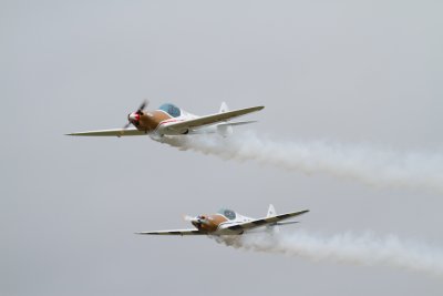 IMG_9920.jpg