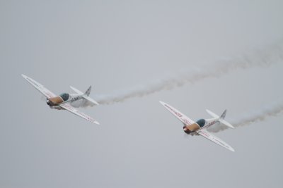 IMG_9934.jpg