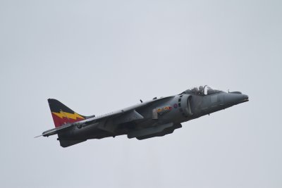 IMG_9964.jpg