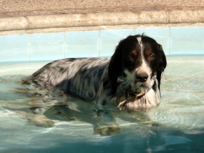 Master_Swim1.JPG