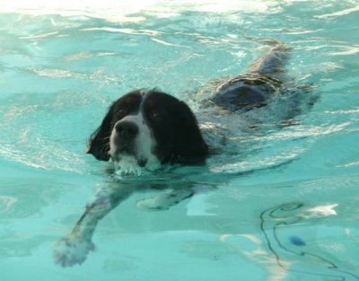 Master_Swim2.JPG