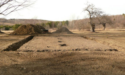 Digging-2.JPG
