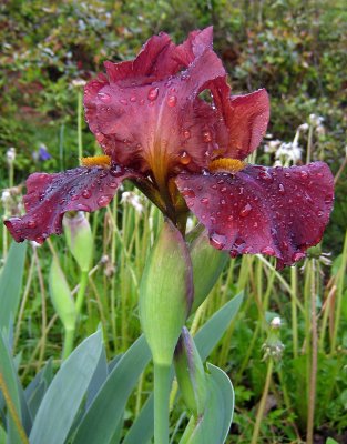 IMG_2811_ TGIF ...