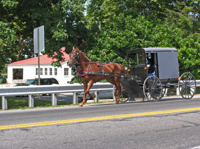 IMG_6174_Horse and Buggy