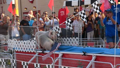 IMG_6443_ Robinson Racing Pigs