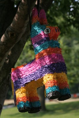 IMG_9814 Pinata