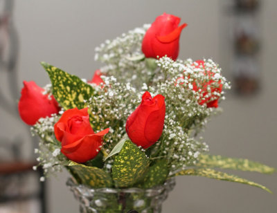 IMG_0172 Red