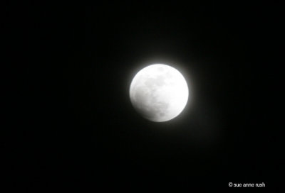 IMG_1080 Lunar Eclipse  I    - Feb 20, 2008