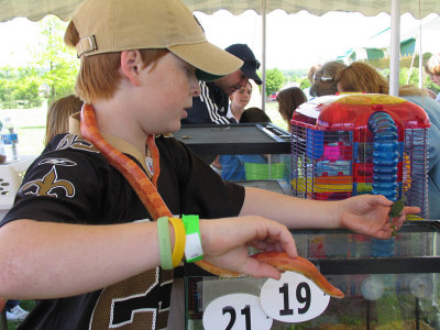 IMG_3243_ Pet snake