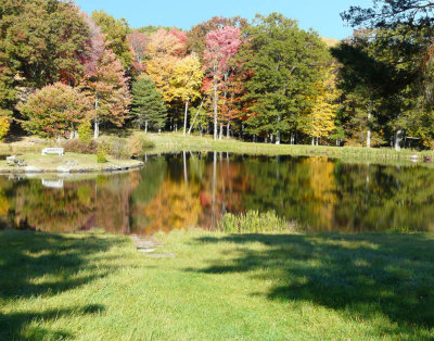 Pond In Nature Colors